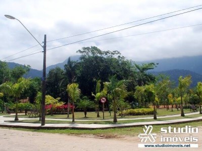6981.jpg