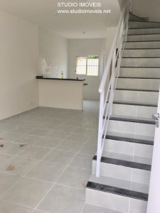 16533.jpg