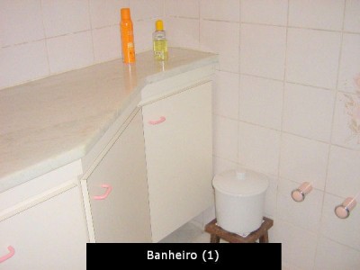 732.jpg
