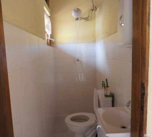 8207.jpg