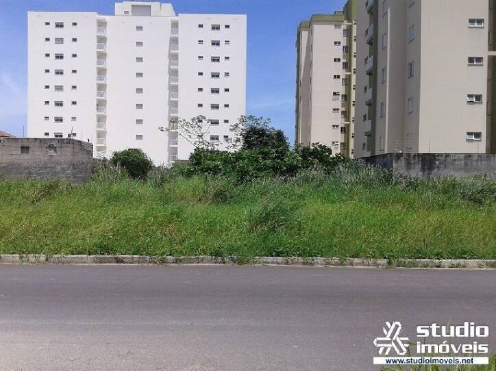 7135.jpg