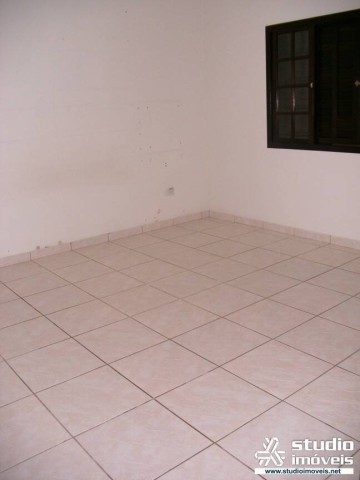 3546.jpg