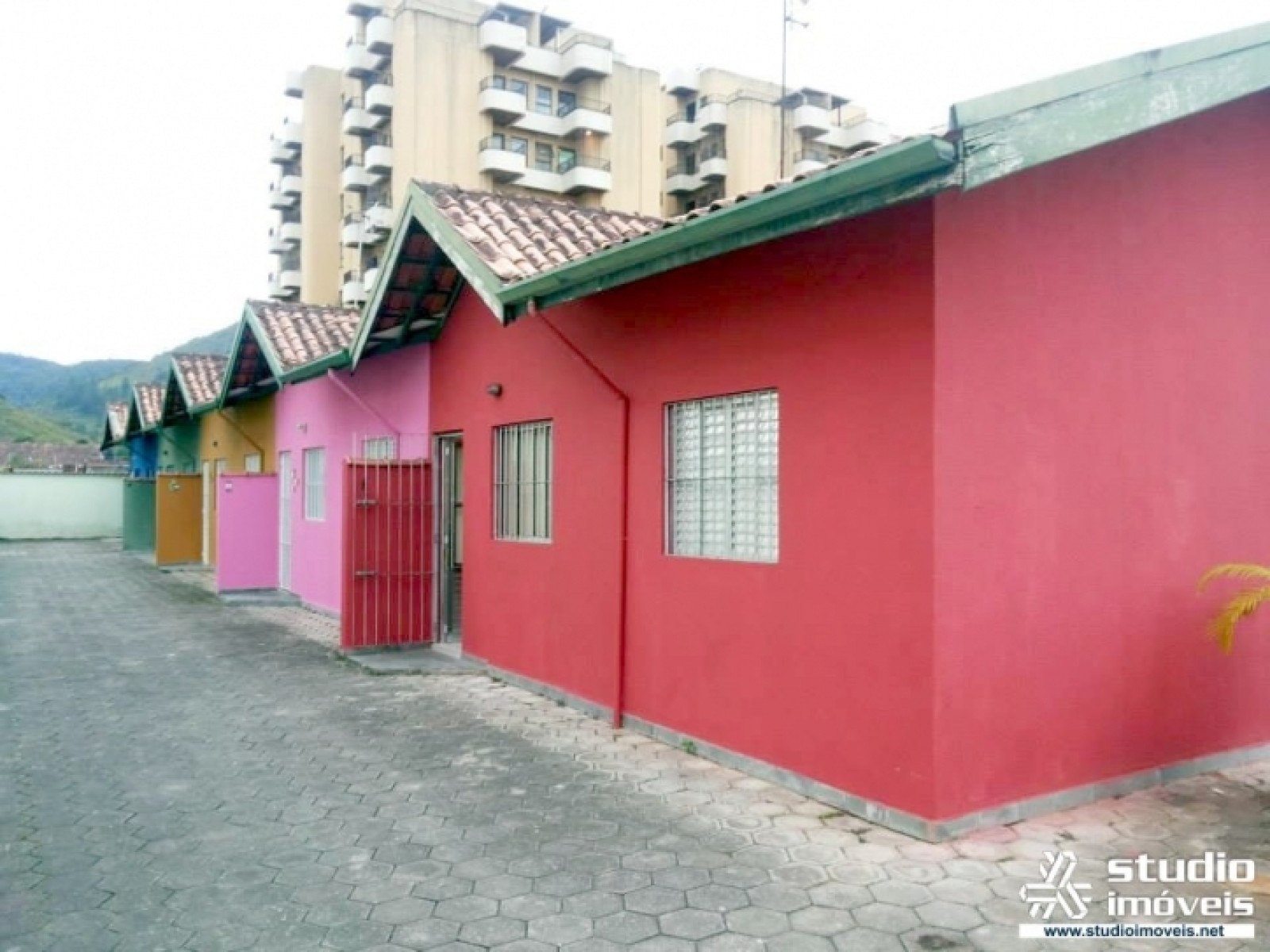 4477.jpg