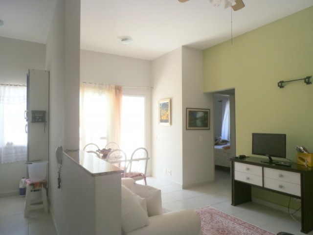 8536.jpg