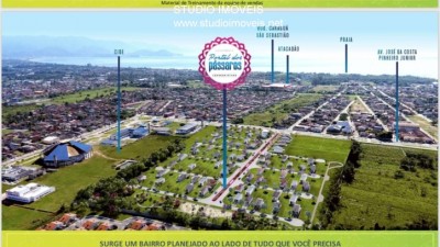 17739.jpg