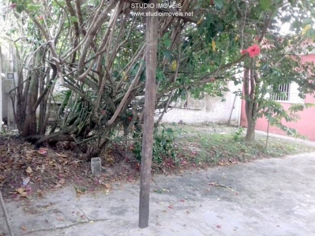 13880.jpg