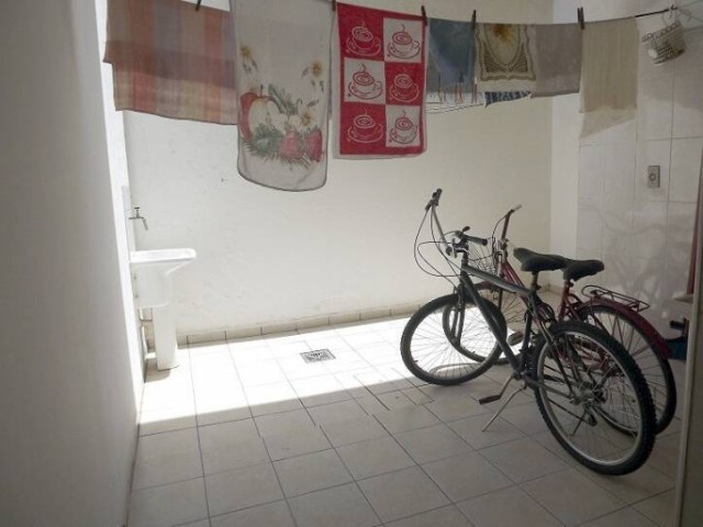 2698.jpg