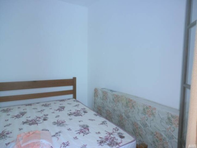 8893.jpg